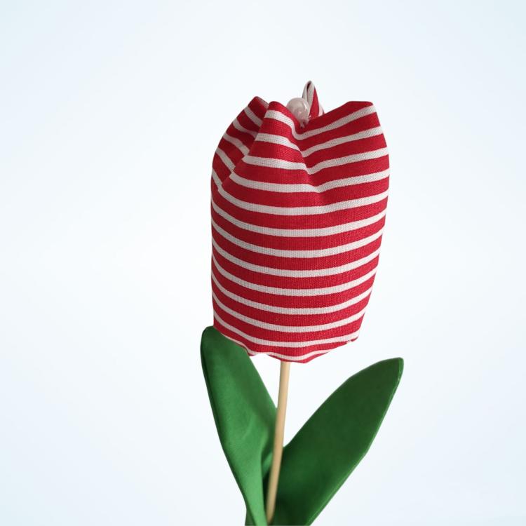 Tulipas perfumadas